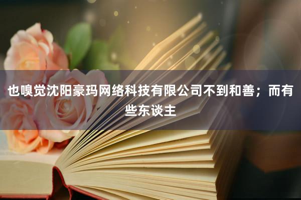 也嗅觉沈阳豪玛网络科技有限公司不到和善；而有些东谈主