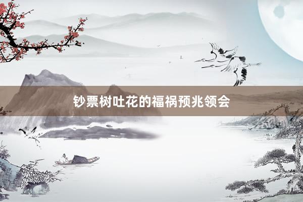 钞票树吐花的福祸预兆领会
