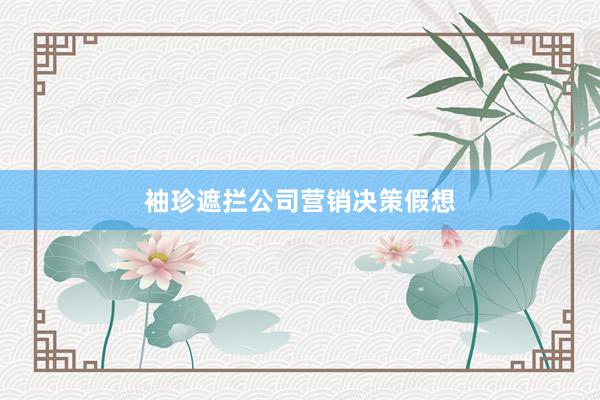 袖珍遮拦公司营销决策假想